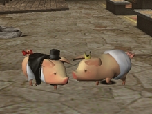 画像集#017のサムネイル/アクラ・ヴァシム,狩人祭の本格始動,汎用素材見直し──大きく変わろうとしている「MHF」シーズン3.0直前インタビュー