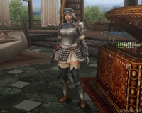 画像集#018のサムネイル/アクラ・ヴァシム,狩人祭の本格始動,汎用素材見直し──大きく変わろうとしている「MHF」シーズン3.0直前インタビュー