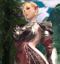 画像集#011のサムネイル/次世代MMORPG「TERA」公式サイトリニューアルで,アーチャーとエレメンタリスト情報を公開