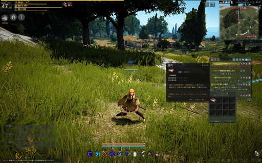 画像ギャラリー No.047のサムネイル画像 / 自由度が高いと言われるMMORPG「黒い砂漠」。何がそんなに自由なのかをいろいろ紹介してみよう