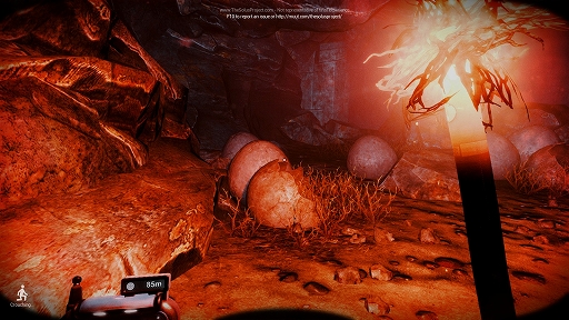 画像ギャラリー No.012のサムネイル画像 / ハロー!Steam広場 第101回:ヤバイところに来ちゃった感がハンパないサバイバルアドベンチャー「The Solus Project」