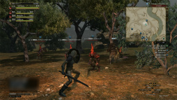 画像ギャラリー No.003のサムネイル画像 / オンラインでも“ドラゴンズドグマ”らしさは健在。「Dragon's Dogma Online」CBT1のプレイムービーを掲載