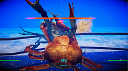#005Υͥ/ϵǶΥˤ֥˥Υ -Fight Crab-פΥץ쥤ݡȤϤͷӱ䡤ˡ