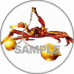 #003Υͥ/֥˥Υ -Fight Crab-סŵϡ֥ꥸʥ륵ȥססŹŵ