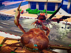 Switchǡ֥˥Υ -Fight Crab-פȯ䡣2ʤβλդMVʥ硼Ver.ˤ