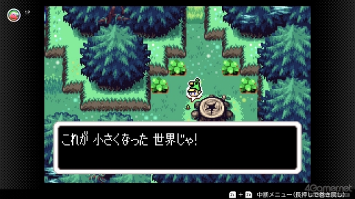 画像ギャラリー No.088のサムネイル画像 / 40周年を迎えた「ゼルダの伝説」は,今どのゲームが遊べる? Nintendo Switch / Switch 2でプレイできるシリーズ作品を紹介