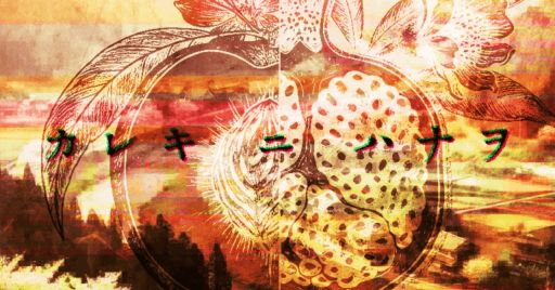 画像ギャラリー No.001のサムネイル画像 / 「紙岡聖子(仮)に関する考察」を手がけたSIM3の新作「カレキニハナヲ」が公開中。Webサイトを調査する全編無料のミステリーゲーム