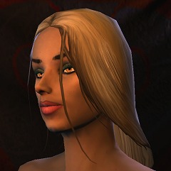 画像ギャラリー No.039のサムネイル画像 / 「Age of Conan」のキャラクターエディット詳細