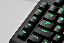 #004Υͥ/Razer BlackWidow Ultimate 2013פļѤΥޡܡɤϡ2013ǯǥǲѤä