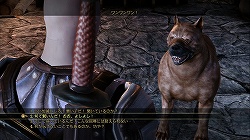 画像ギャラリー No.026のサムネイル画像 / 緻密な世界設定と無数の選択肢が生む,圧倒的な没入感。傑作RPG「Dragon Age: Origins」のレビューを掲載