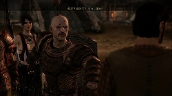 画像ギャラリー No.037のサムネイル画像 / 緻密な世界設定と無数の選択肢が生む,圧倒的な没入感。傑作RPG「Dragon Age: Origins」のレビューを掲載