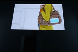 画像ギャラリー No.038のサムネイル画像 / 任天堂の今後の展開と,ニンテンドー3DSの各種機能・タイトルが紹介された「任天堂カンファレンス2010」レポート(前編)