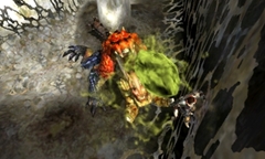 画像ギャラリー No.005のサムネイル画像 / 「モンスターハンター4」イベントバージョンのプレイムービー第2弾を掲載。新モンスターの“鬼蛙”テツカブラと新フィールド「地底洞窟」に注目