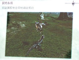 画像ギャラリー No.017のサムネイル画像 / 2012年,アエリアが満を持して贈る新作オンラインRPG「Dragon's Prophet」とは?