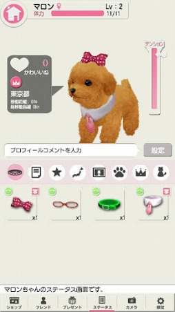 どこでもペット かわいい子犬