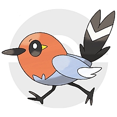 画像ギャラリー No.066のサムネイル画像 / 「ポケットモンスター X・Y」,“伝説のポケモン”の勇士をあしらったパッケージ,主人公キャラの仕様,ゲームの流れや新ポケモンの情報を公開