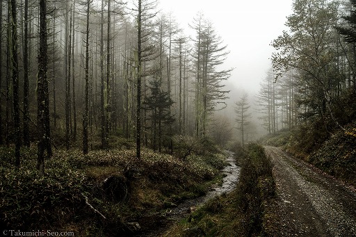 画像ギャラリー No.005のサムネイル画像 / 「FFXIV」,カメラブランド「PENTAX」とのコラボフォトコンテストを開始。入賞作品はリアル会場の展示会で紹介予定