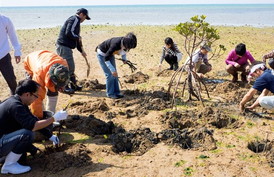 画像ギャラリー No.004のサムネイル画像 / 「マングローブと不思議なクマたち」,実際の植林につながる企画を実施中