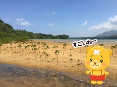 画像ギャラリー No.005のサムネイル画像 / 「マングローブと不思議なクマたち」,実際の植林につながる企画を実施中