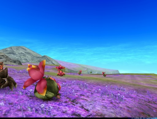 画像ギャラリー No.009のサムネイル画像 / 「トーラムオンライン」新マップ「アカーク廃市/街」と「流浪の平原」を公開