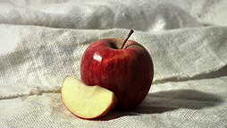 画像ギャラリー No.003のサムネイル画像 / Wii U用ソフト「じっくり絵心教室」が11月12日発売。レッスンをとおして絵をうまく描くためのさまざまなコツを学べる