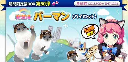 画像ギャラリー No.004のサムネイル画像 / 「マイにゃんカフェ」,ガチャイベント“ネコマツリ”第19弾を開催