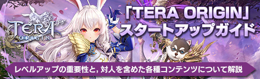 画像ギャラリー No.045のサムネイル画像 / 【PR】「TERA ORIGIN」(テラオリジン)スタートアップガイド。レベルアップの重要性と,対人を含めた各種コンテンツについて解説