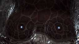 画像ギャラリー No.005のサムネイル画像 / ギーガーやベクシンスキーの絵画を思わせるグロテスクな世界が舞台のアドベンチャー「Scorn」,Xbox Series Xに登場