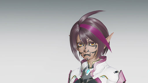 画像ギャラリー No.018のサムネイル画像 / 「NGS ver.2」,メインストーリー6章終節の配信を開始