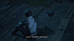 画像ギャラリー No.016のサムネイル画像 / 復讐劇の相棒がこんなにカワイくていいの!? 「FINAL FANTASY XVI」クライヴの頼れる愛狼“トルガル”のとことん写真集!