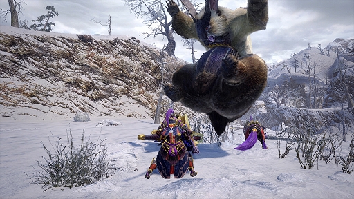 画像ギャラリー No.030のサムネイル画像 / 「モンスターハンターライズ」の体験版が1月8日に配信開始。新アクション“操竜”などの操作に加え,オサイズチとタマミツネの狩猟を楽しめる