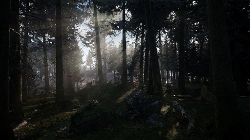 画像ギャラリー No.005のサムネイル画像 / 極寒の大自然の中を生き抜くサバイバルアクション「Winter Survival」,新たな体験版をリリース。25分におよぶゲームプレイ映像も公開に