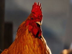 「ARC Raiders」,本日配信のアップデート“Flashpoint”の詳細を公開。新たなマップ環境や武器,機能の追加を実施