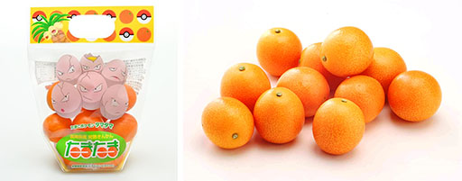 画像ギャラリー No.004のサムネイル画像 / 「ナッシーリゾート in 新宿みやざき館KONNE」2月8日,9日に開催。ナッシーとのグリーティングやコラボ商品の販売などを予定