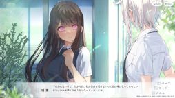 嘘から始まる恋の夏