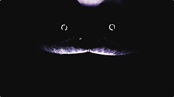 画像ギャラリー No.004のサムネイル画像 / ホラーゲーム「Poppy Playtime」,Chapter 3:Deep Sleepを1月30日に正式リリース。ファイナルトレイラーも公開に