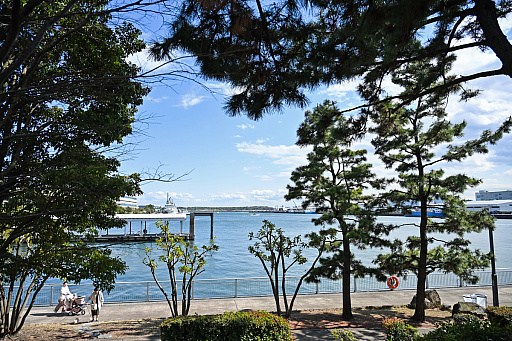 画像ギャラリー No.006のサムネイル画像 / モンハン木樽ジョッキがやっっっと届いたから,ワイルドにお花見いこ