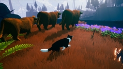 画像ギャラリー No.023のサムネイル画像 / 元気いっぱいのボーダー・コリーになって飼い主と一緒に世界の色を取り戻す「Farewell North」,Steamで配信中