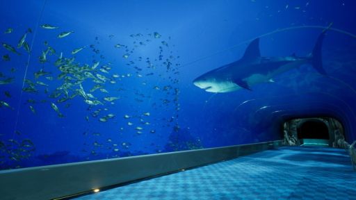 画像ギャラリー No.002のサムネイル画像 / 不気味な水族館で異変を探す短編ウォーキングシミュレータ「8月32日の水族館」,Steamで配信開始。SNSで話題になった生き物も登場