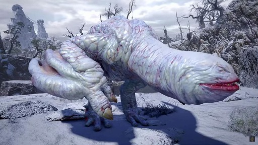 画像ギャラリー No.002のサムネイル画像 / 新種のクモに「モンハン」の登場モンスター「フルフル」の名前が採用される