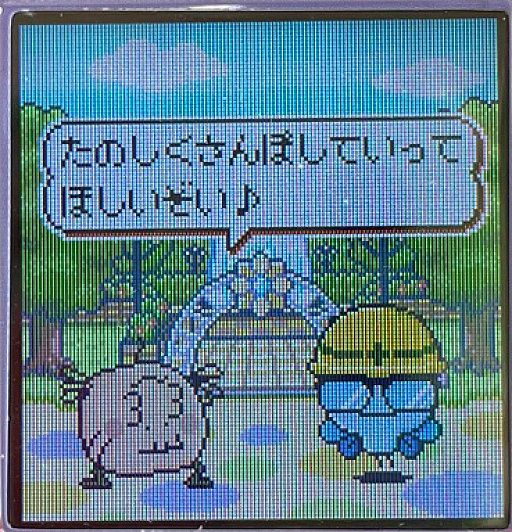 ²èÁü¥®¥ã¥é¥ê¡¼ No.015¤Î¥µ¥à¥Í¥¤¥ë²èÁü / 2025ǯ¤Îº£¡¤¤¿¤Þ¤´¤Ã¤Á¤Ë¥×¥ê¥ó¥È¥·¡¼¥ëµ¡¡¤¥ë¡¼¥º¥½¥Ã¥¯¥¹¤¬Î®¹ÔÃæ!?¡¡¡ÈÊ¿À®¥ì¥È¥í¡É¤ò¤É¤¦³Ú¤·¤ó¤Ç¤¤¤ë¤«¡¤¸½Ìò¹â¹»À¸¤Ëʹ¤¤¤Æ¤ß¤¿¡ª