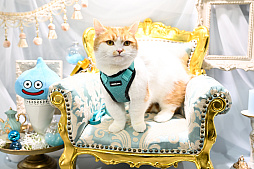 画像ギャラリー No.002のサムネイル画像 / スクエニの犬猫グッズ「SQEX PETs」も9月発売決定! おもしろワンニャンアイテムたくさんの“インターペット2025”