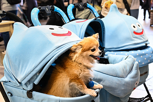 画像ギャラリー No.015のサムネイル画像 / スクエニの犬猫グッズ「SQEX PETs」も9月発売決定! おもしろワンニャンアイテムたくさんの“インターペット2025”