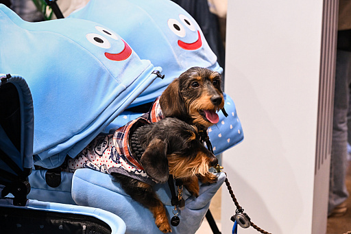 画像ギャラリー No.016のサムネイル画像 / スクエニの犬猫グッズ「SQEX PETs」も9月発売決定! おもしろワンニャンアイテムたくさんの“インターペット2025”
