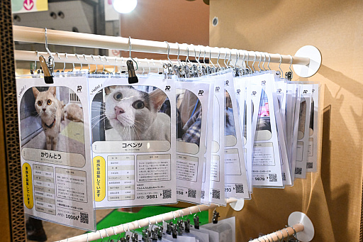 画像ギャラリー No.026のサムネイル画像 / スクエニの犬猫グッズ「SQEX PETs」も9月発売決定! おもしろワンニャンアイテムたくさんの“インターペット2025”