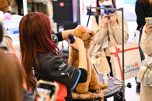 画像ギャラリー No.033のサムネイル画像 / スクエニの犬猫グッズ「SQEX PETs」も9月発売決定! おもしろワンニャンアイテムたくさんの“インターペット2025”