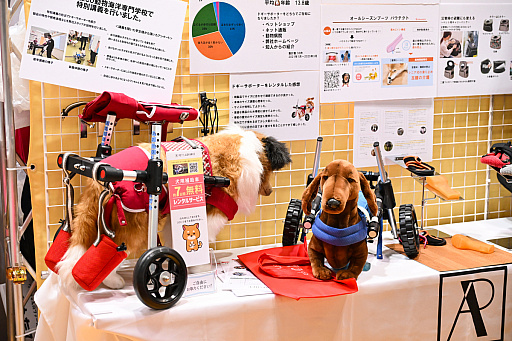 画像ギャラリー No.037のサムネイル画像 / スクエニの犬猫グッズ「SQEX PETs」も9月発売決定! おもしろワンニャンアイテムたくさんの“インターペット2025”