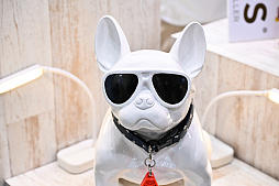 画像ギャラリー No.041のサムネイル画像 / スクエニの犬猫グッズ「SQEX PETs」も9月発売決定! おもしろワンニャンアイテムたくさんの“インターペット2025”