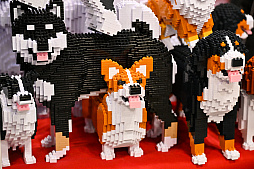 画像ギャラリー No.042のサムネイル画像 / スクエニの犬猫グッズ「SQEX PETs」も9月発売決定! おもしろワンニャンアイテムたくさんの“インターペット2025”